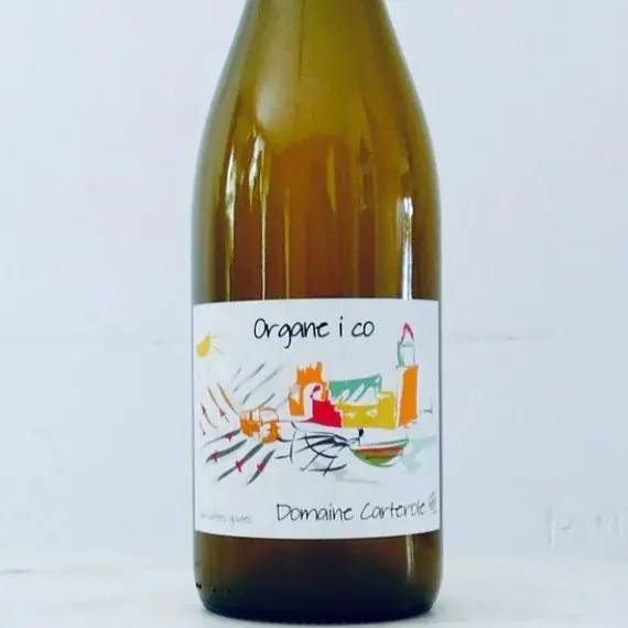 Organe I Co - Master