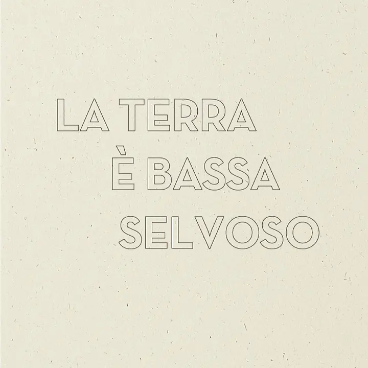 SELVOSO - Master