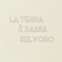 SELVOSO - Master