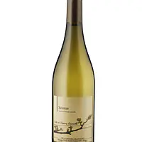 Saumur - Master