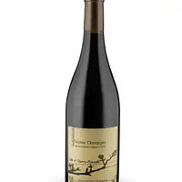 Saumur Champigny - Master