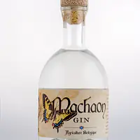 Gin Machaon - 40% vol. 70cL - Master
