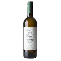 Umbria Grechetto IGT - Master