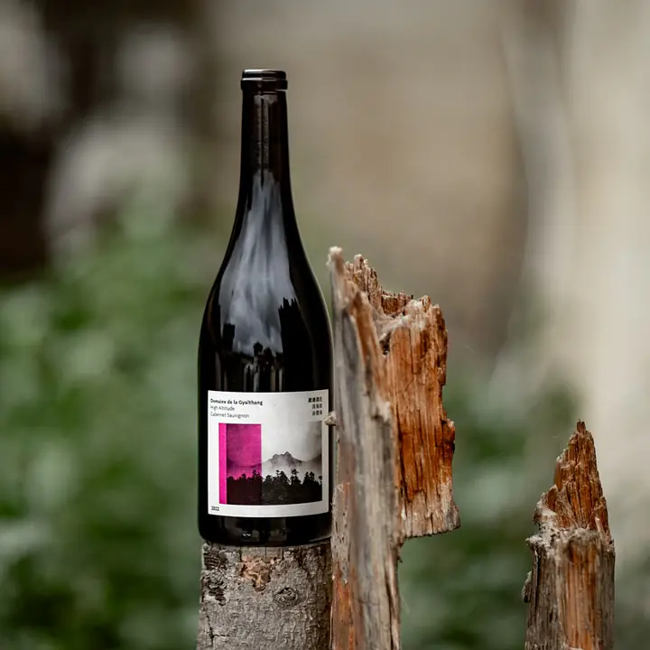 小圃 | 建塘酒庄 高海拔赤霞珠 2023  XIAOPU DOMAINE DE LA GYALTHANG HIGH ALTITUDE Cabernet Sauvignon  RED 2023 红葡萄酒 RED WINE – 14.7% – 750ML - Master