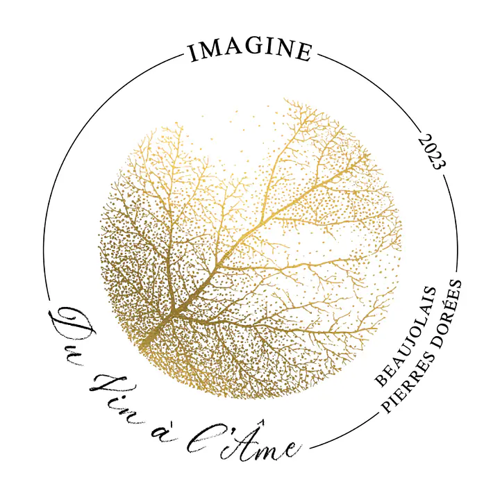IMAGINE - Master