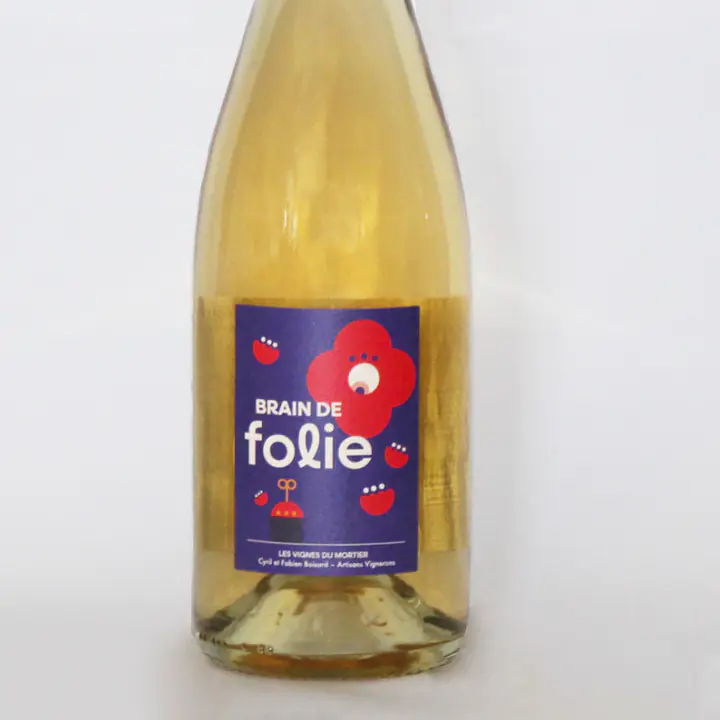 BRAIN DE FOLIE PETILLANT NATUREL CHENIN - Master