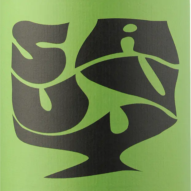Sauvy - Master