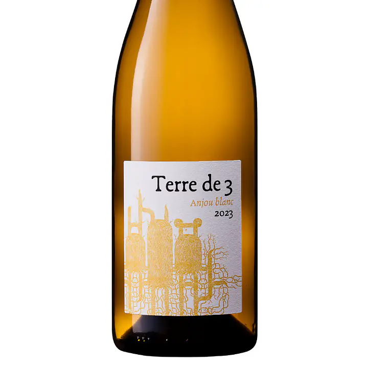 Terre de 3 - Master