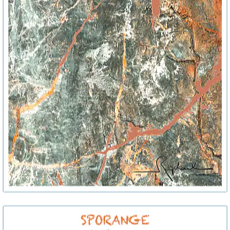 SPORANGE - Master