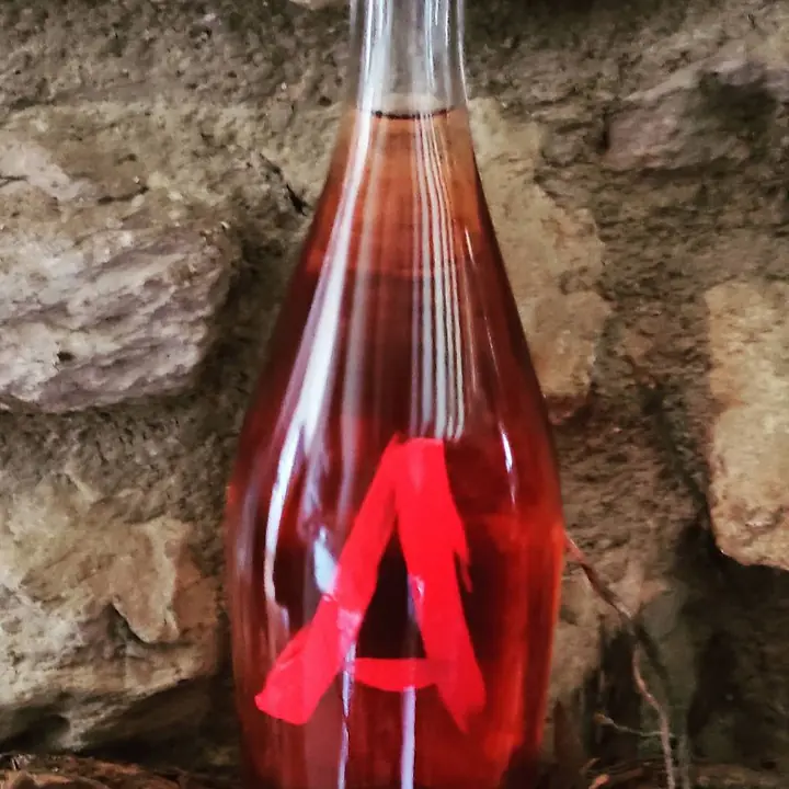 A d'Artemisa - Master