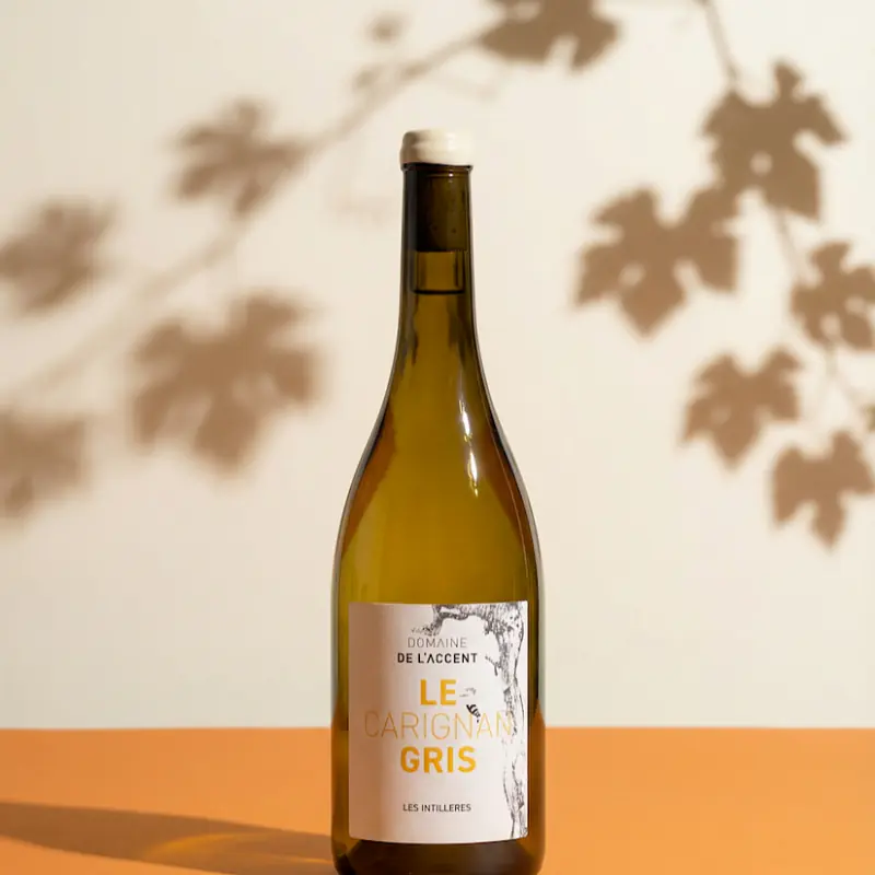 Carignan Gris - Master