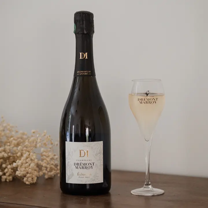 Éclosion Pinot-Noir - Master