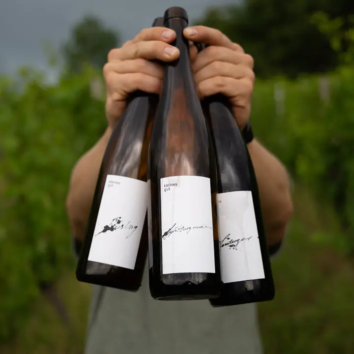 Riesling - Master