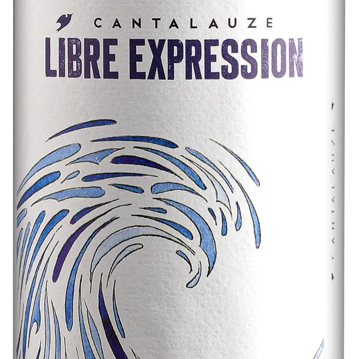 Libre Expression - Master