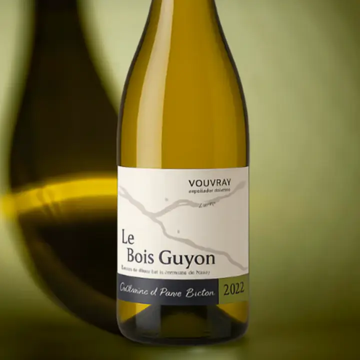 Bois Guyon - Master