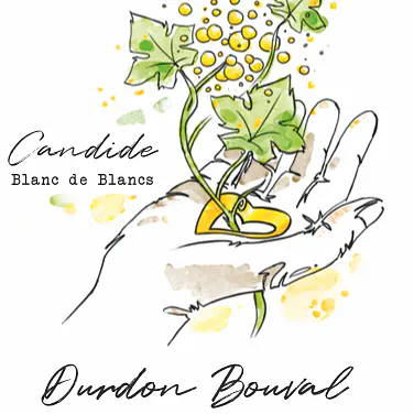 Candide - Master