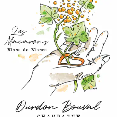 Les Macarons - Master