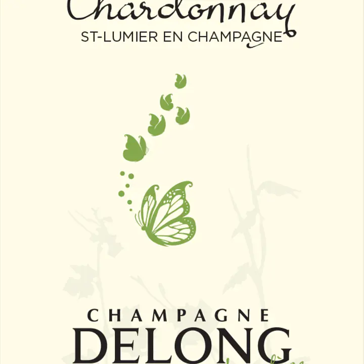 CHARDONNAY ST LUMIER EN CHAMPAGNE - Master