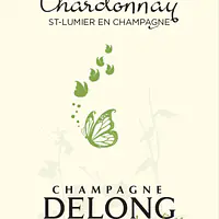 CHARDONNAY ST LUMIER EN CHAMPAGNE - Master
