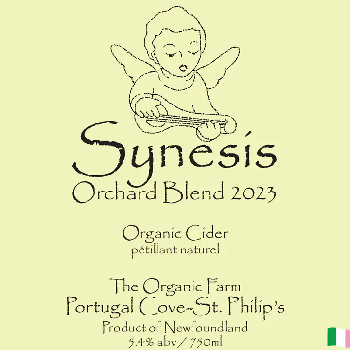 Synesis - Master