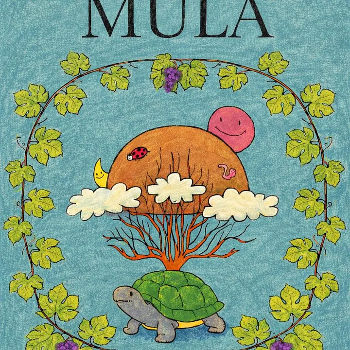 MÜLA - Master