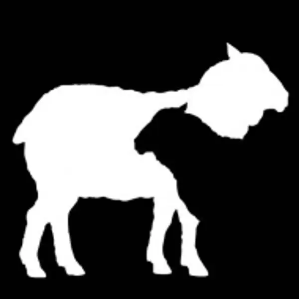 #<Spree::ProfileImage:0x00007805a337ab60>