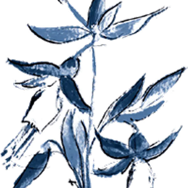 #<Spree::ProfileImage:0x00007805f61dd5c0>