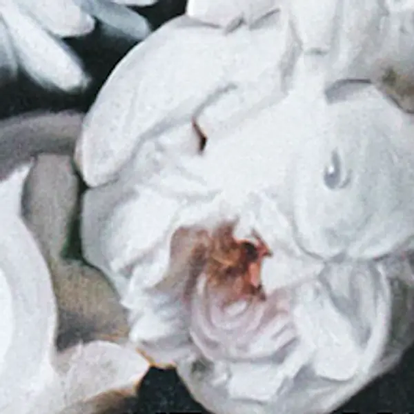 #<Spree::ProfileImage:0x00007805aad53d60>