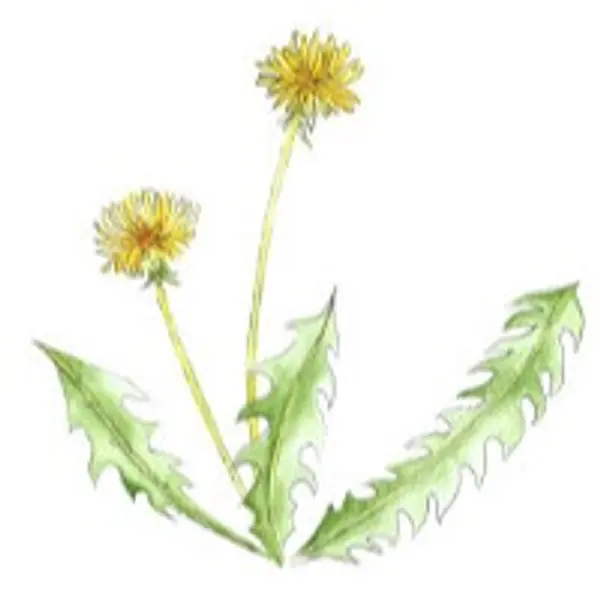 #<Spree::ProfileImage:0x00007805a560c598>