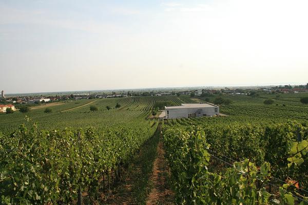 Gallery image 1