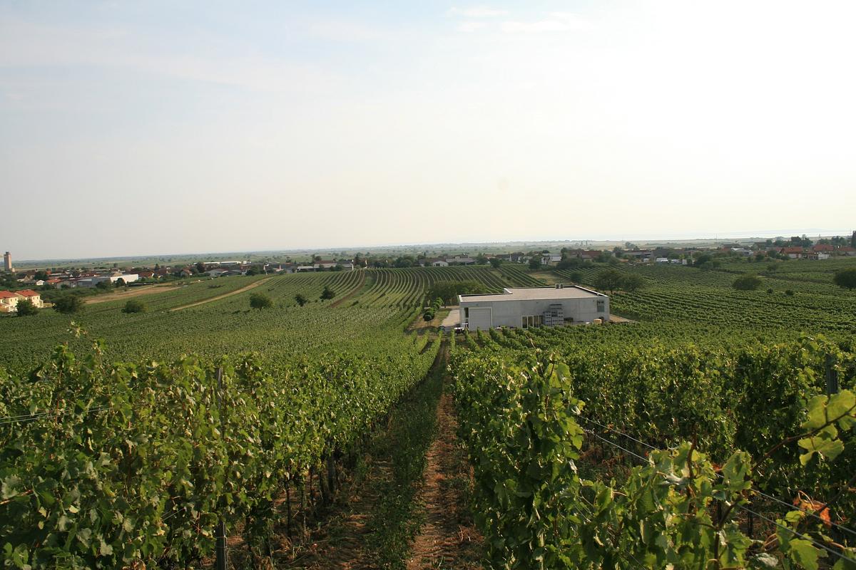 Gallery image 1