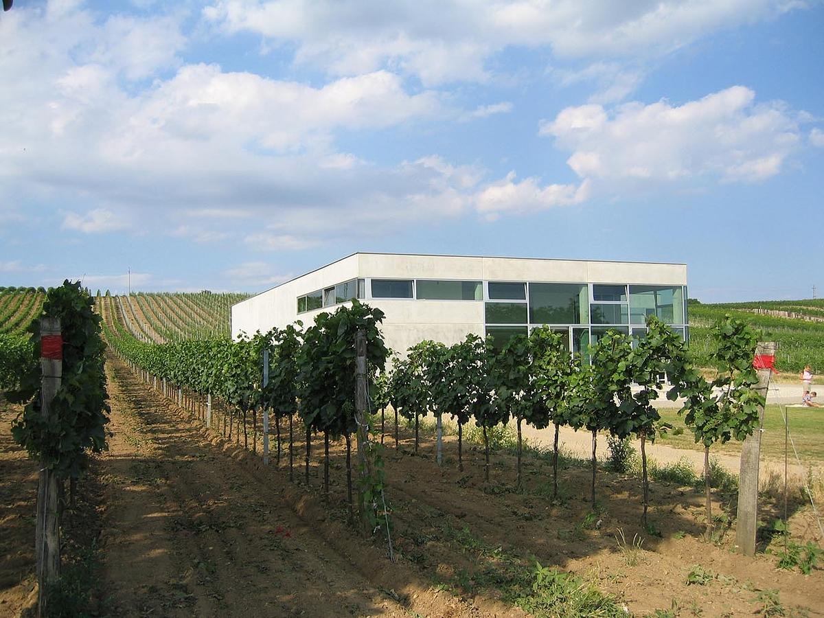 Gallery image 3