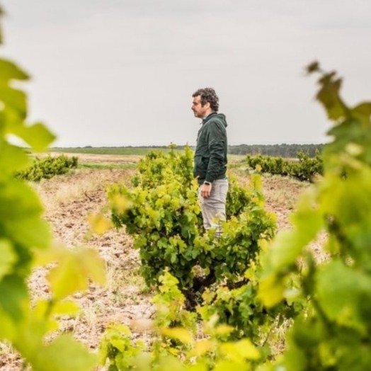 plp_product_/profile/vinos-malandrin