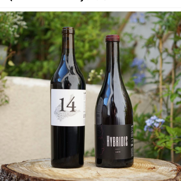 plp_product_/wine/sadon-huguet-hybridis-2020