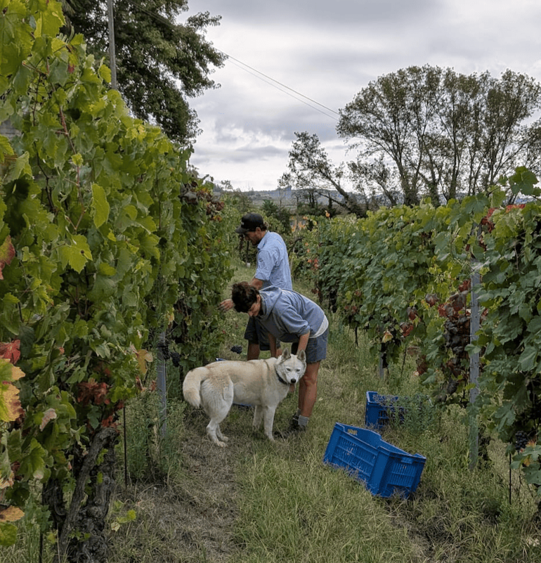 profile_gallery_imgs