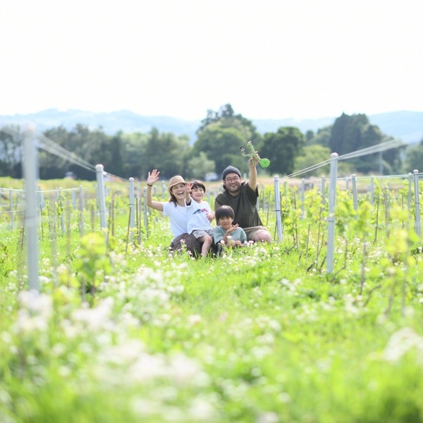 plp_product_/profile/matsufuku-wine