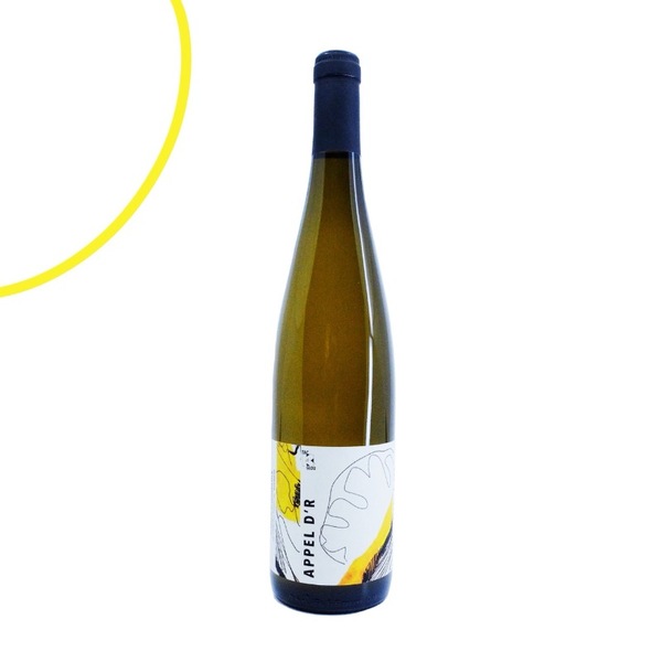 plp_product_/wine/elisa-klur-tack-glou-appel-d-r-2022