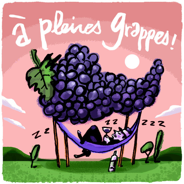 plp_product_/wine/l-abri-a-pleines-grappes-2024