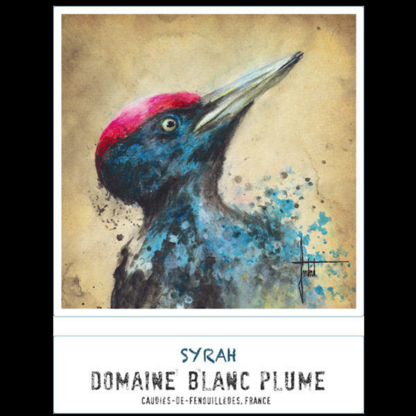 plp_product_/wine/domaine-blanc-plume-pic-noir-2021