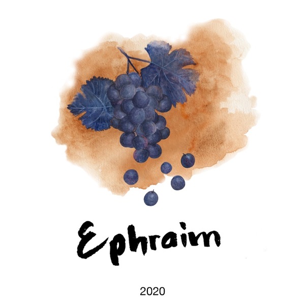 plp_product_/wine/sifer-wines-ephraim-2020