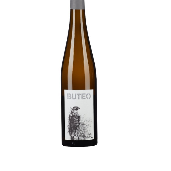 plp_product_/wine/weingut-mg-vom-sol-buteo-2020
