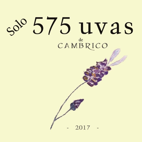 plp_product_/wine/cambrico-solo-575-uvas-de-cambrico-2017