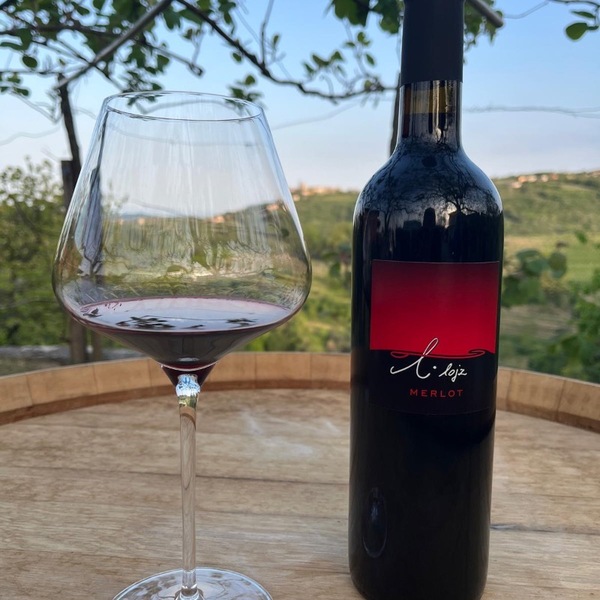 plp_product_/wine/kmetija-murenc-merlot-2022-red
