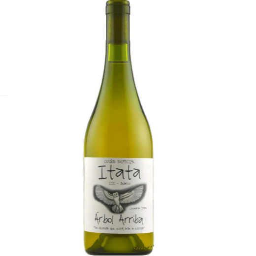 plp_product_/wine/a-los-vinateros-bravos-arbol-arriba-torontel-2019?taxon_id=2