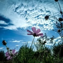 gallery_imgs