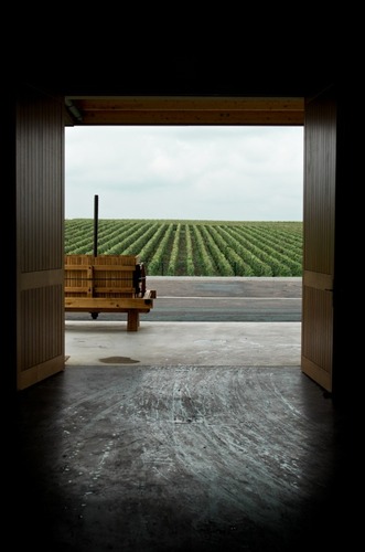 gallery_imgs