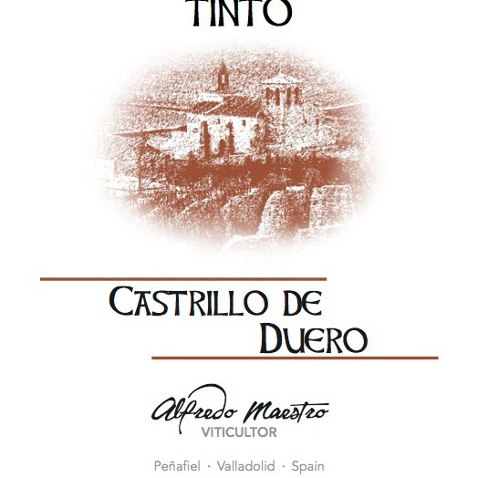 plp_product_/wine/alfredo-maestro-viticultor-valdecastrillo-2020