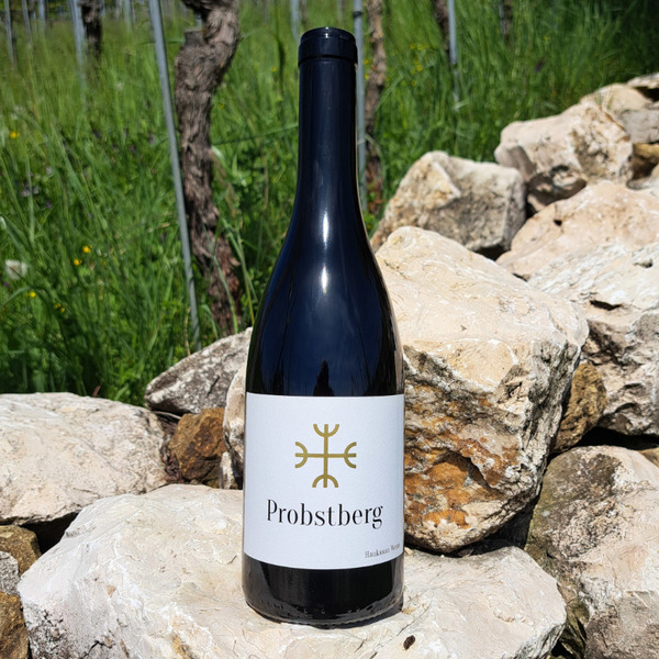 plp_product_/wine/hauksson-weine-probstberg-pinot-noir-2023