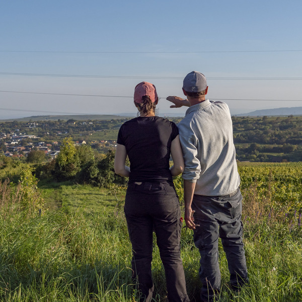 plp_product_/profile/weingut-feldtheorie