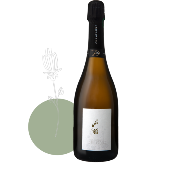 plp_product_/wine/champagne-delong-marlene-sans-filtres-2021